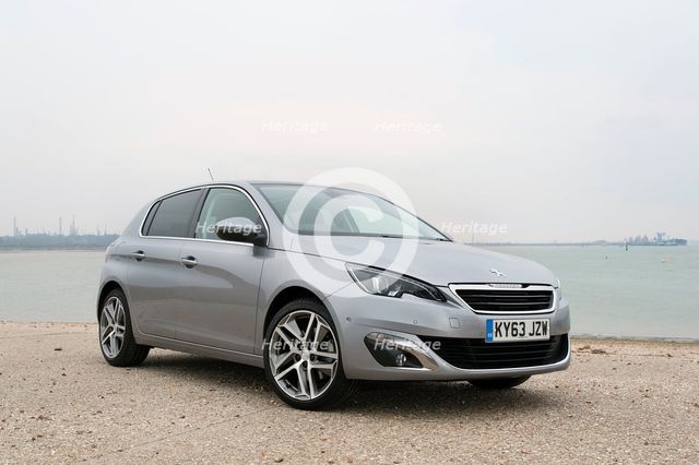 2014 Peugeot 308 THP 156 Feline Artist: Unknown.