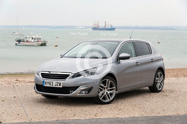 2014 Peugeot 308 THP 156 Feline Artist: Unknown.