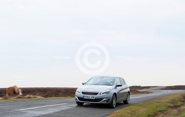 2014 Peugeot 308 THP 156 Feline Artist: Unknown.