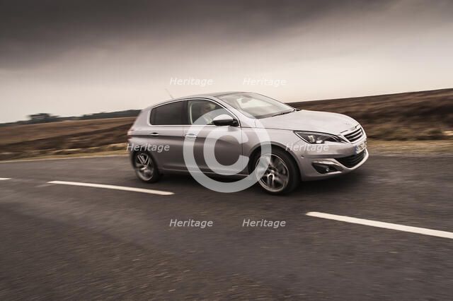 2014 Peugeot 308 THP 156 Feline Artist: Unknown.