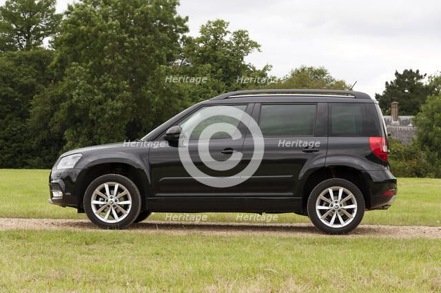 2014 Skoda Yeti SE Artist: Unknown.