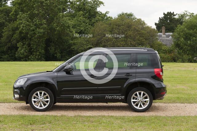 2014 Skoda Yeti SE Artist: Unknown.