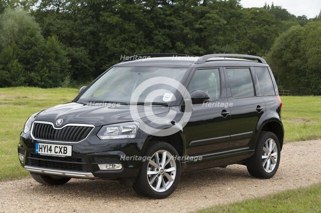 2014 Skoda Yeti SE Artist: Unknown.