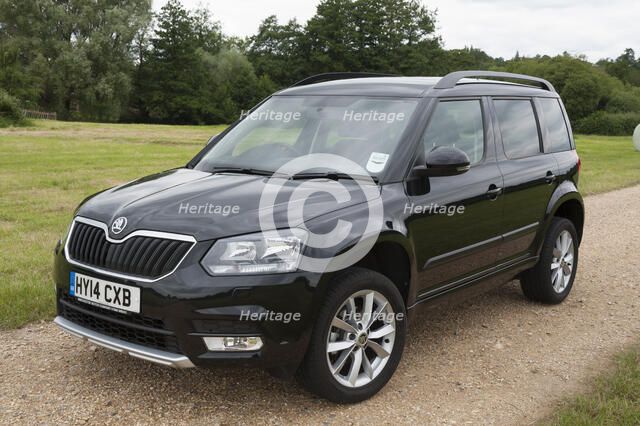2014 Skoda Yeti SE Artist: Unknown.