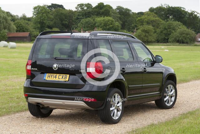 2014 Skoda Yeti SE Artist: Unknown.