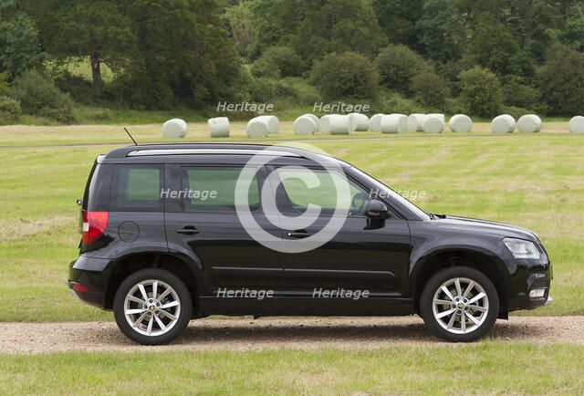 2014 Skoda Yeti SE Artist: Unknown.