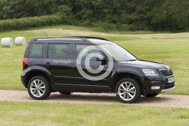 2014 Skoda Yeti SE Artist: Unknown.