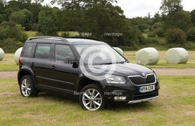 2014 Skoda Yeti SE Artist: Unknown.