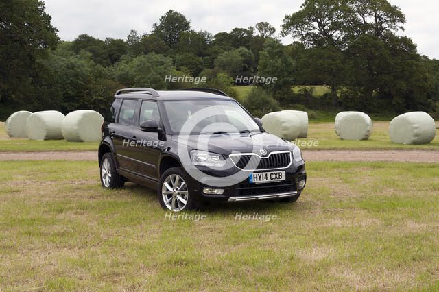 2014 Skoda Yeti SE Artist: Unknown.