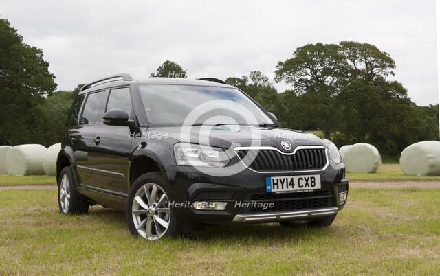 2014 Skoda Yeti SE Artist: Unknown.