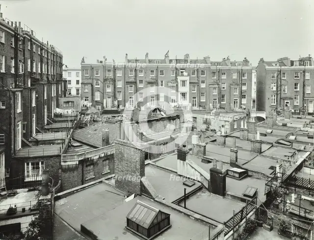 213-229 Gloucester Terrace, Westminster LB, London: rear elevations, 1961. Creator: Unknown.