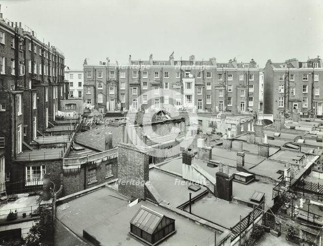 213-229 Gloucester Terrace, Westminster LB, London: rear elevations, 1961. Creator: Unknown.