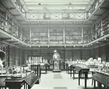 39-43 Lincoln's Inn Fields, Westminster LB, London: Royal College of Surgeons, museum room 2, 1911. Creator: Unknown