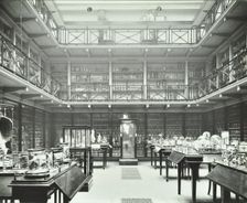 39-43 Lincoln's Inn Fields, Westminster LB, London: Royal College of Surgeons, museum room 2, 1911. Creator: Unknown