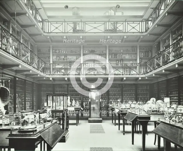 39-43 Lincoln's Inn Fields, Westminster LB, London: Royal College of Surgeons, museum room 2, 1911. Creator: Unknown.