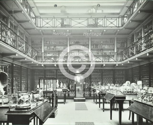 39-43 Lincoln's Inn Fields, Westminster LB, London: Royal College of Surgeons, museum room 2, 1911. Creator: Unknown.