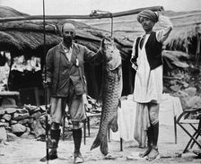59 lb Mahseer, Caught by Capt. H. B. D. Campbell, R.E., in the Upper Ganges c1903, (1903)