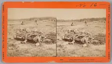 918. Collecting Remains of the Dead, 1865. Creator: John Reekie