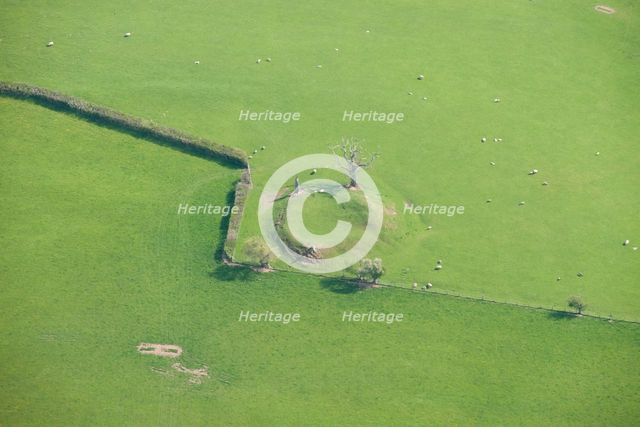 Cothill Tump, a motte castle, Herefordshire, 2016. Creator: Damian Grady.
