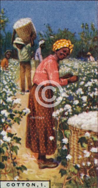 'Cotton, 1. - Picking Seed Cotton, W. Indies', 1928. Artist: Unknown.
