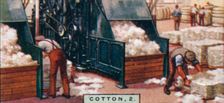 Cotton, 2. - Breaking up Bales in Mixing Room, England 1928