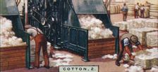 Cotton, 2. - Breaking up Bales in Mixing Room, England 1928