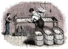 Cotton manufacture, c1845