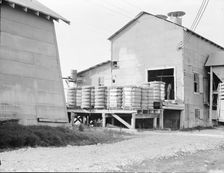 Cotton bales on gin platform, Robstown, Texas, 1936. Creator: Dorothea Lange
