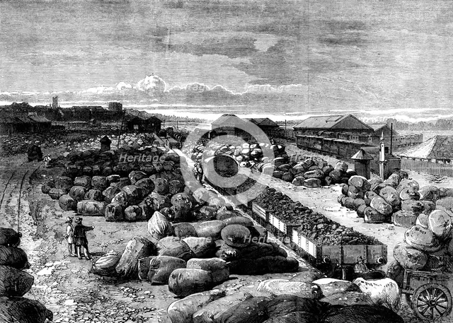 Cotton bales lying at the Bombay terminus of the Great Indian Peninsular Railway, 1862. Creator: Unknown.
