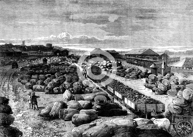 Cotton bales lying at the Bombay terminus of the Great Indian Peninsular Railway, 1862. Creator: Unknown.