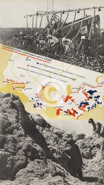 Cotton breeding. Illustration from USSR Builds Socialism, 1933. Creator: Lissitzky, El (1890-1941).