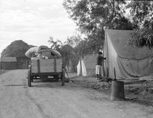 Cotton camp near Exeter, California, 1936. Creator: Dorothea Lange