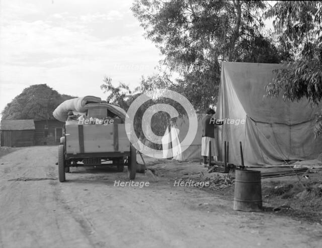 Cotton camp near Exeter, California, 1936. Creator: Dorothea Lange.