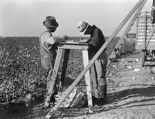 Cotton checkers, San Joaquin Valley, California, 1936. Creator: Dorothea Lange