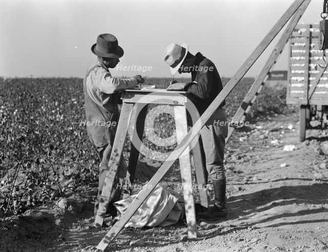 Cotton checkers, San Joaquin Valley, California, 1936. Creator: Dorothea Lange.