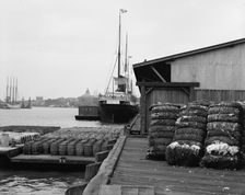 Cotton docks, Savannah, Ga., c1907. Creator: Unknown