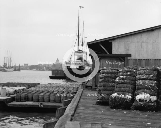 Cotton docks, Savannah, Ga., c1907. Creator: Unknown.