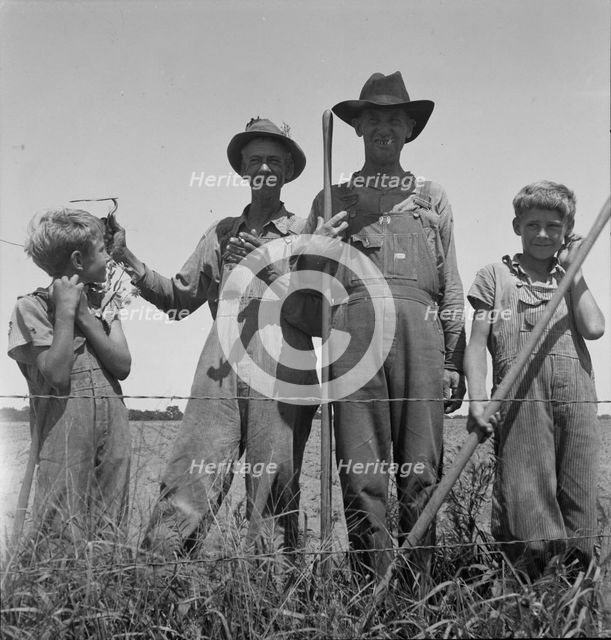 Cotton farmers near Oil City, Carter County, Oklahoma, 1937. Creator: Dorothea Lange.