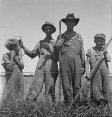 Cotton farmers near Oil City, Carter County, Oklahoma, 1937. Creator: Dorothea Lange
