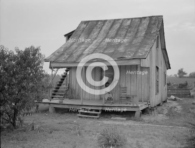 Cotton field hand sitting on her porch on Sunday afternoon, near Blytheville, Arkansas, 1937. Creator: Dorothea Lange.