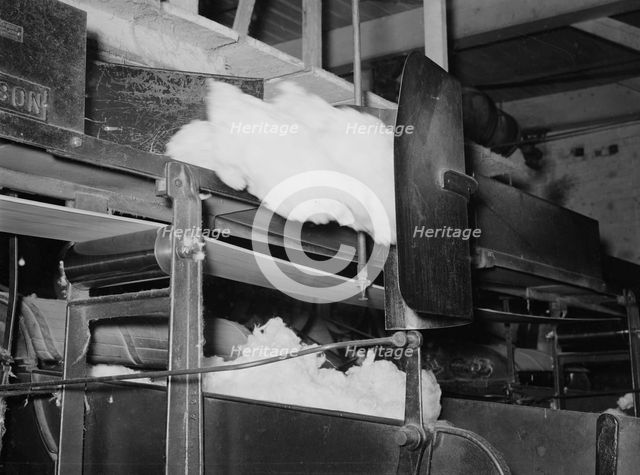 Cotton from the bale is transported by belt to...making cotton bats, Laurel, Mississippi, 1939. Creator: Dorothea Lange.