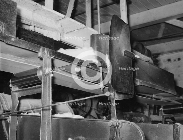 Cotton from the bale is transported by belt...for making bats, Laurel, Mississippi, 1939. Creator: Dorothea Lange.