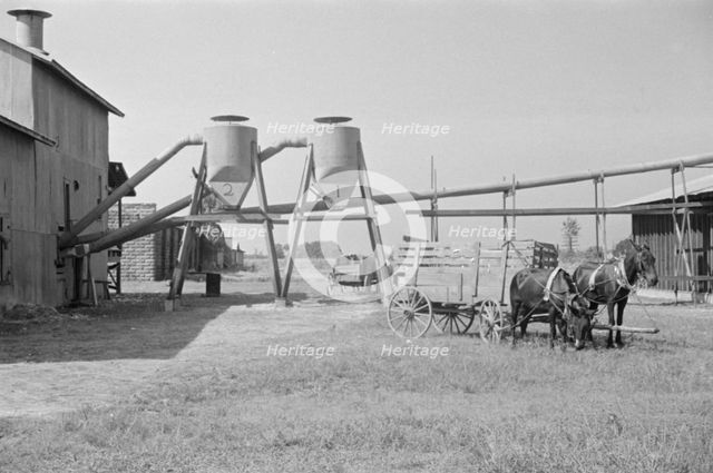 Cotton gin and wagons, Vicinity of Moundville, Alabama, 1936. Creator: Walker Evans.