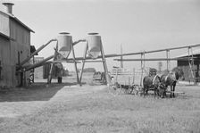 Cotton gin and wagons, Vicinity of Moundville, Alabama, 1936. Creator: Walker Evans