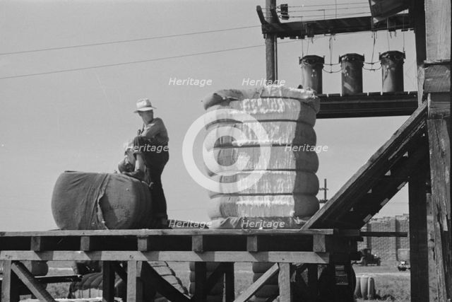 Cotton gin, Hale County, Alabama, 1936. Creator: Walker Evans.
