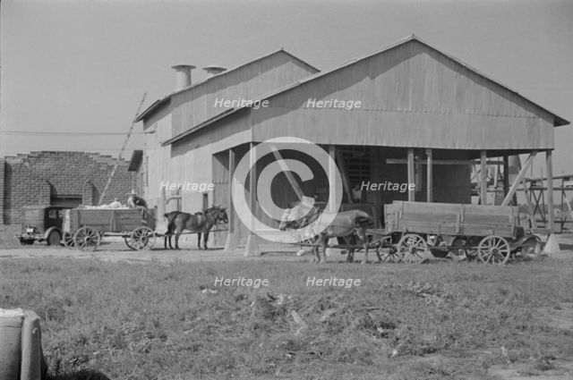 Cotton gin, Hale County, Alabama, 1936. Creator: Walker Evans.