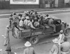 Cotton hoers are transported to the fields daily during the season, Memphis, Tennessee, 1937. Creator: Dorothea Lange