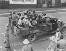 Cotton hoers are transported to the fields daily during the season, Memphis, Tennessee, 1937. Creator: Dorothea Lange