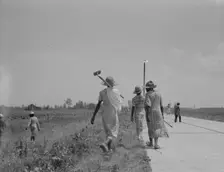 Cotton hoers (day laborers) move from one field across..., Mississippi Delta, 1937. Creator: Dorothea Lange