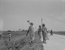 Cotton hoers (day laborers) move from one field across..., Mississippi Delta, 1937. Creator: Dorothea Lange